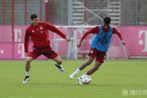  蒂姆连续五场比赛得分超过连败,拜仁挑战极限怎么算 